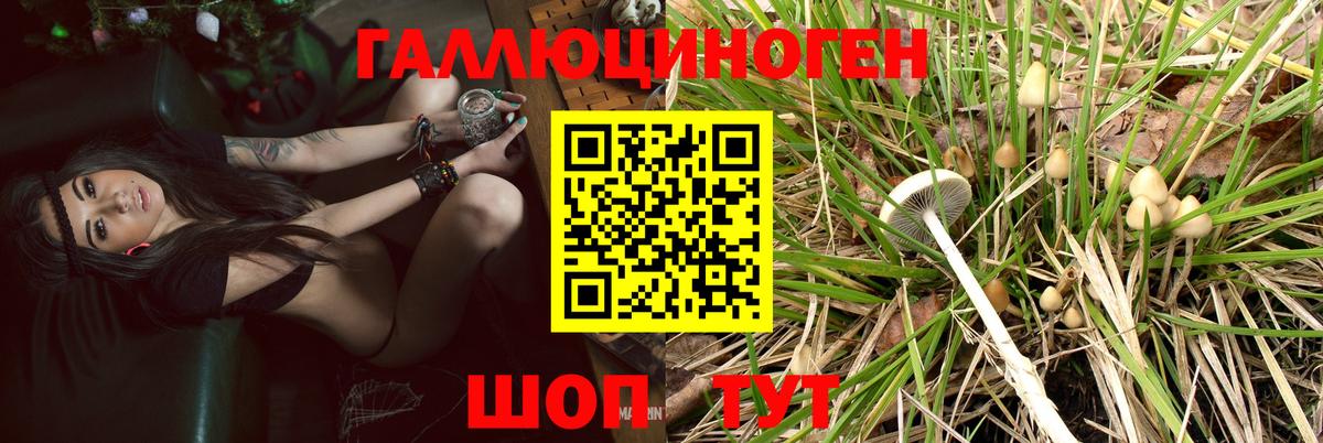 Галлюциногенные грибы Magic Shrooms  Вход с VPN  Галлюциногенные грибы Psilocybe  Краснокамск 