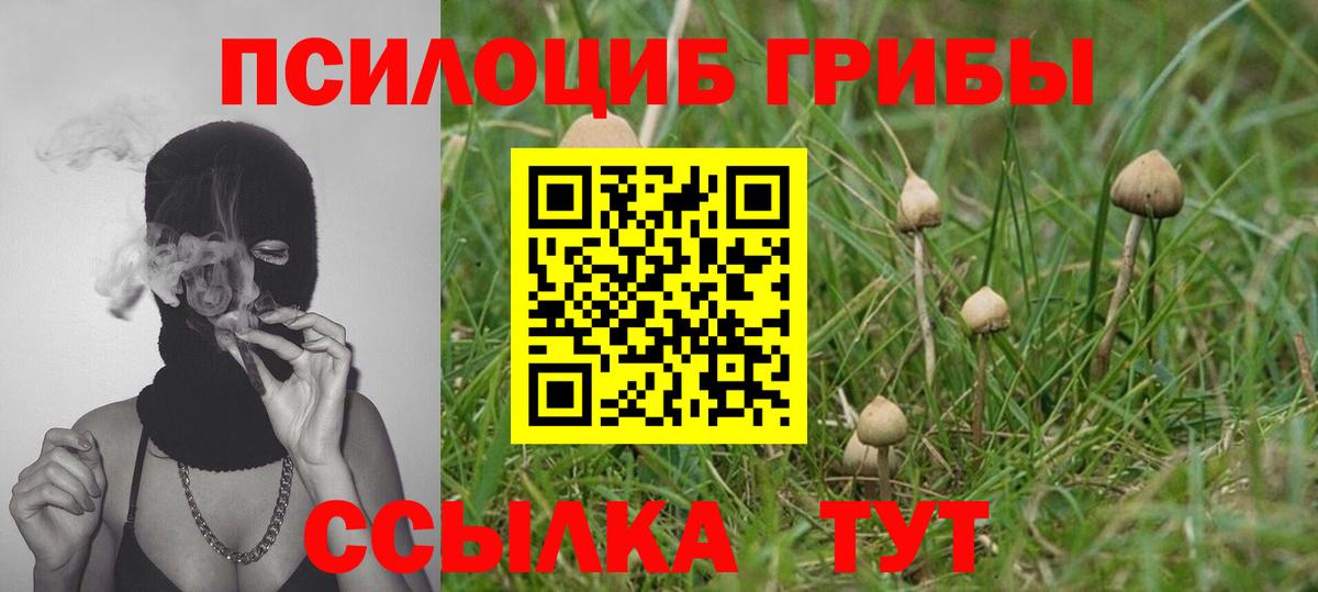 Галлюциногенные грибы Cubensis Краснокамск